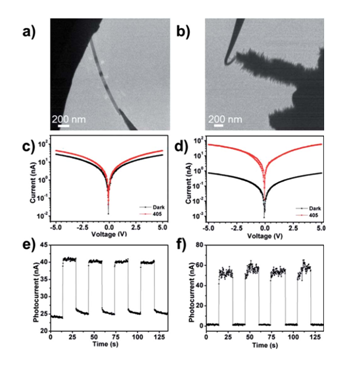 圖4：（a）（b）分別對應(yīng)CdS納米帶和CdS/ZnO異質(zhì)結(jié)安置在原位光學-光纖樣品桿中的TEM圖像。（c）（d）分別對應(yīng)CdS納米帶和CdS/ZnO異質(zhì)結(jié)I-V曲線的開關(guān)特性。（e）（f）分別對應(yīng)CdS納米帶和CdS/ZnO異質(zhì)結(jié)對周期性光信號的響應(yīng)特性。