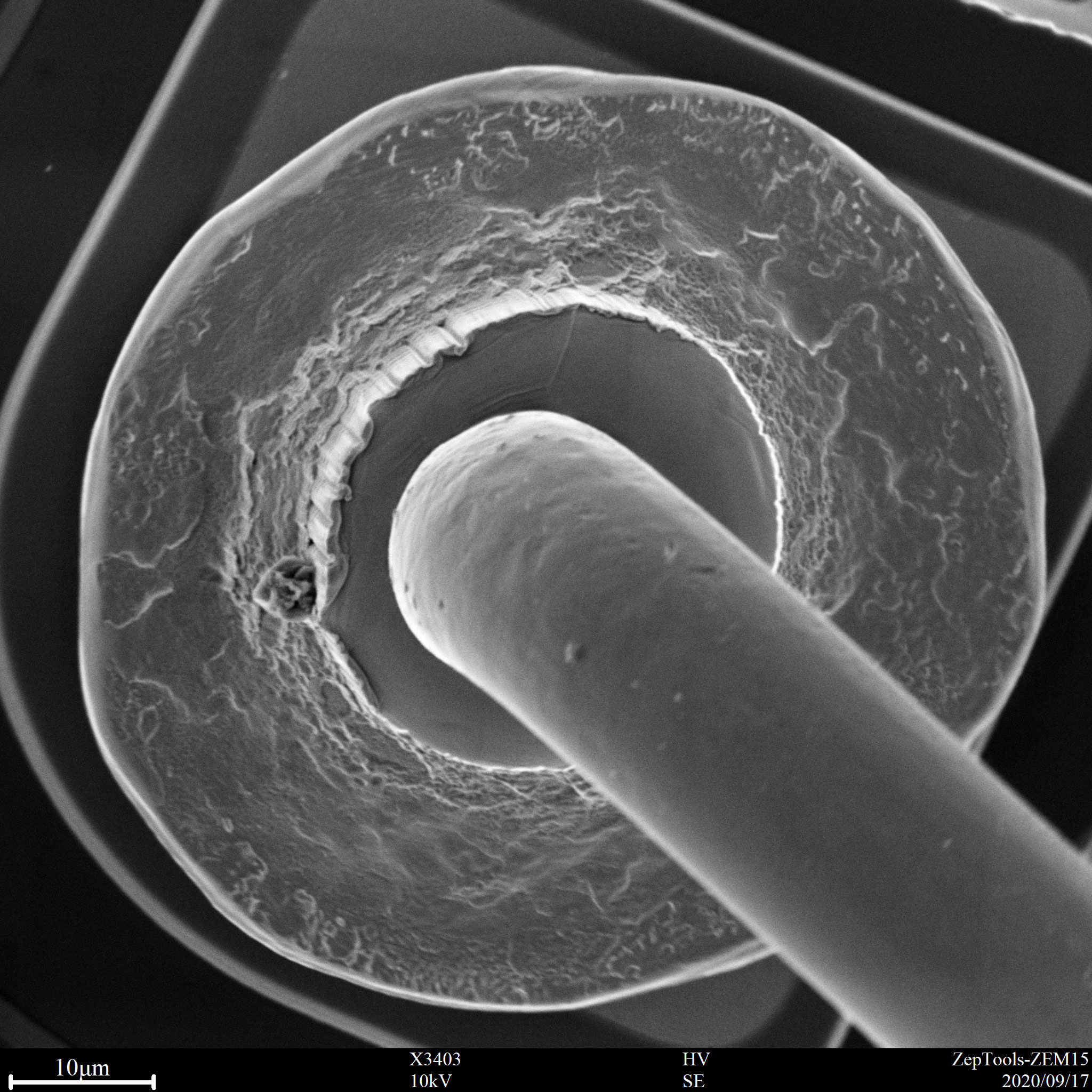 臺(tái)式掃描電鏡下半導(dǎo)體焊點(diǎn)(會(huì)議現(xiàn)場(chǎng)拍攝) 臺(tái)式掃描電鏡下半導(dǎo)體焊點(diǎn)(會(huì)議現(xiàn)場(chǎng)拍攝)