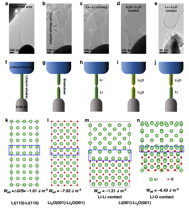 原位TEM電學樣品桿觀測鋰支晶形成、拉斷過程