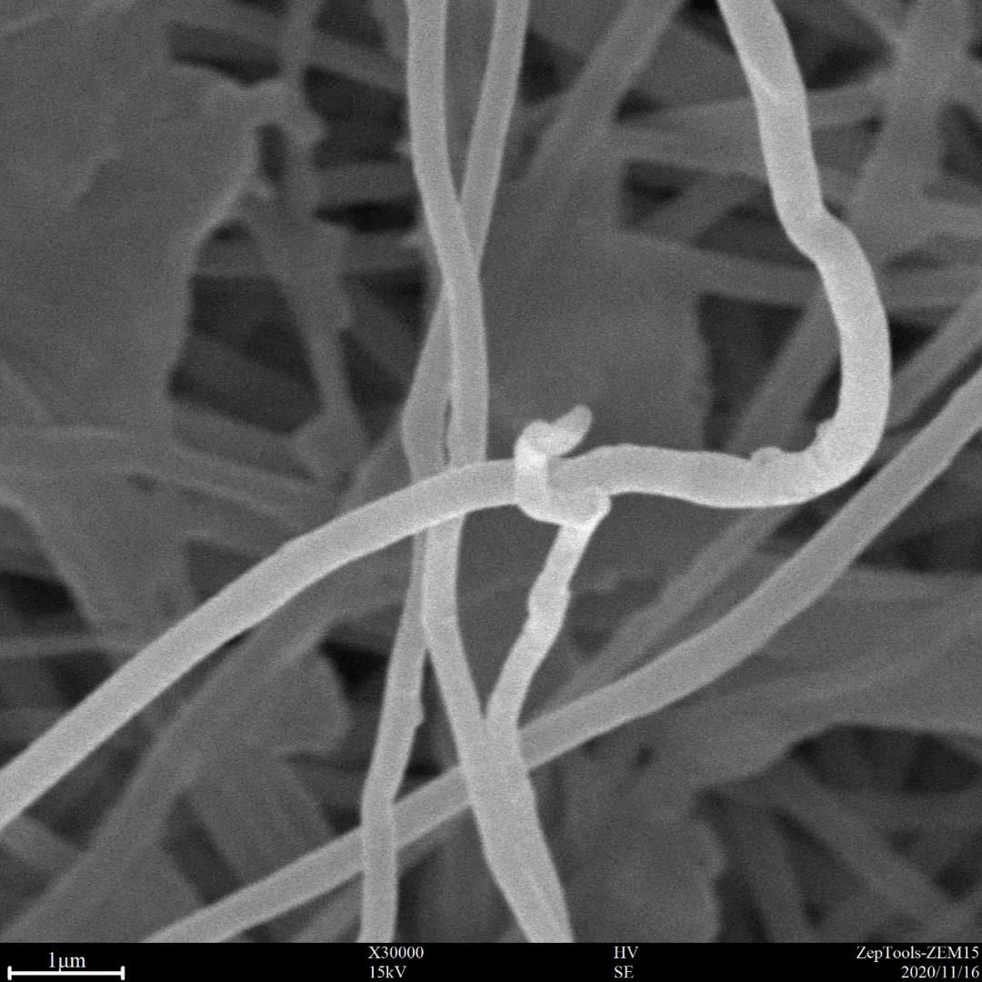 臺式掃描電鏡3萬倍納米纖維 臺式掃描電鏡3萬倍納米纖維