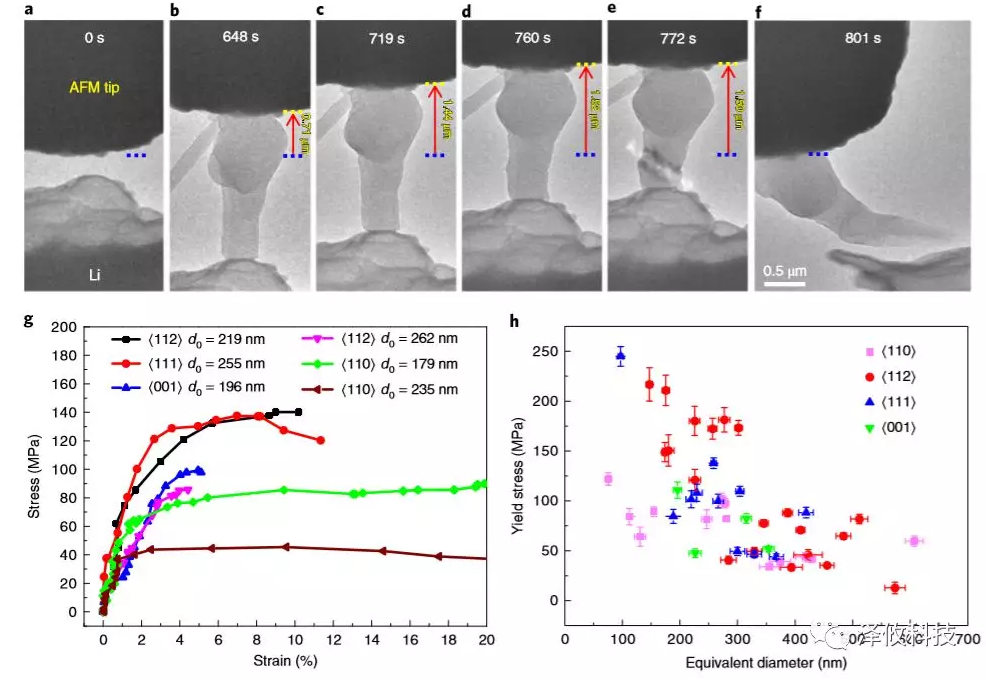 生長的鋰晶須的原位壓縮測(cè)試