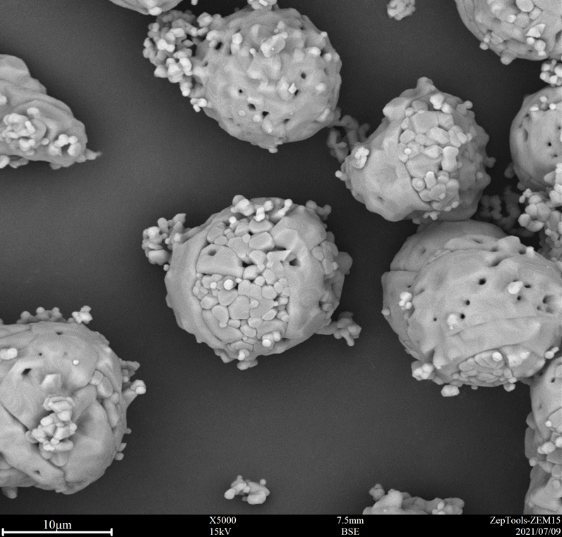 ZEM桌面臺式掃描電鏡-掃描電鏡價格(圖5) 臺式掃描電鏡應用3.png