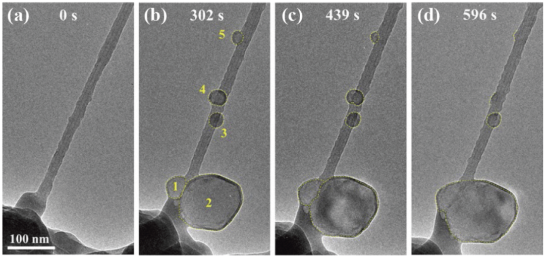 圖2 沉積在MWCNT/Na2CO3/CO2上的納金屬的EOR過程 圖2 沉積在MWCNT/Na2CO3/CO2上的納金屬的EOR過程