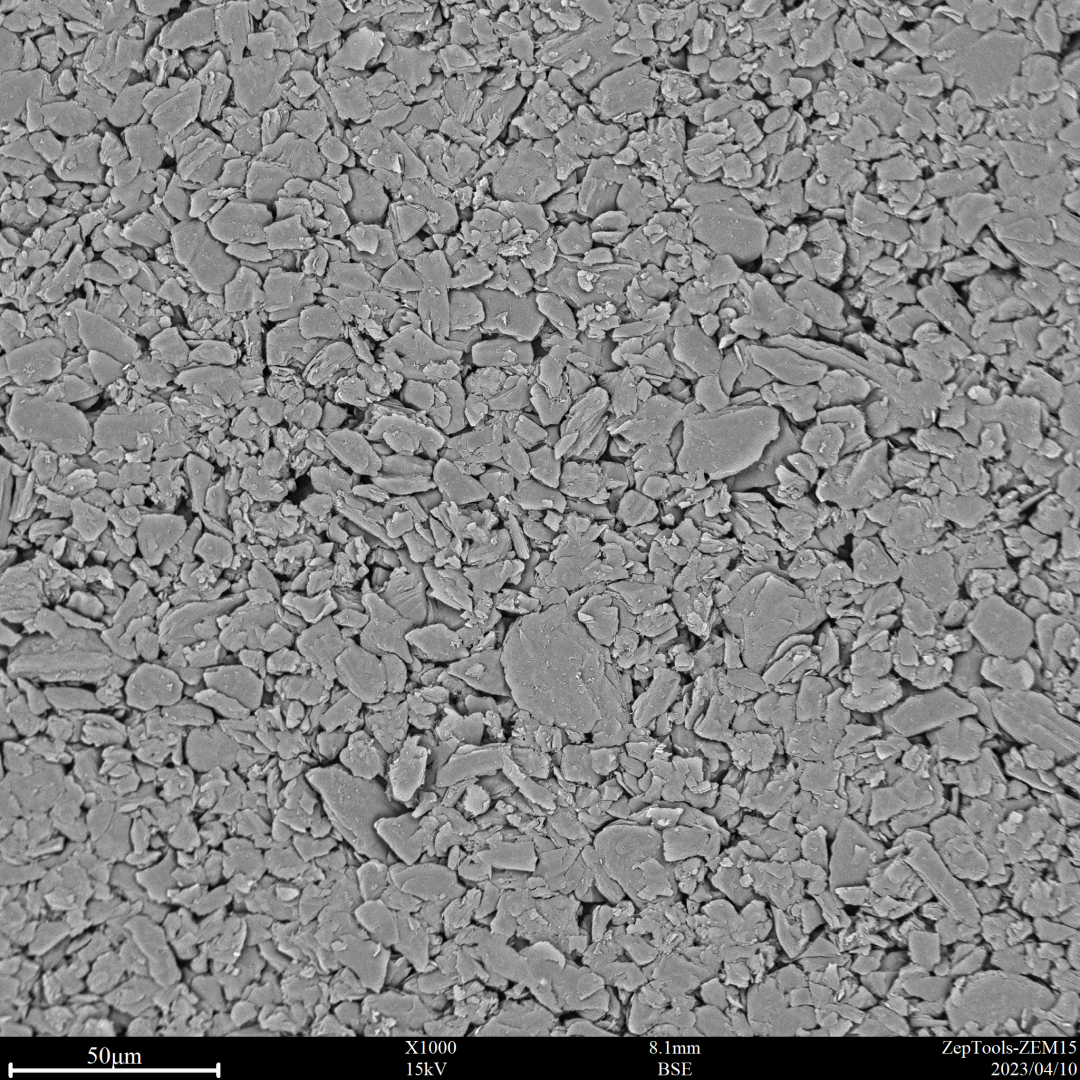 負極極片 負極極片