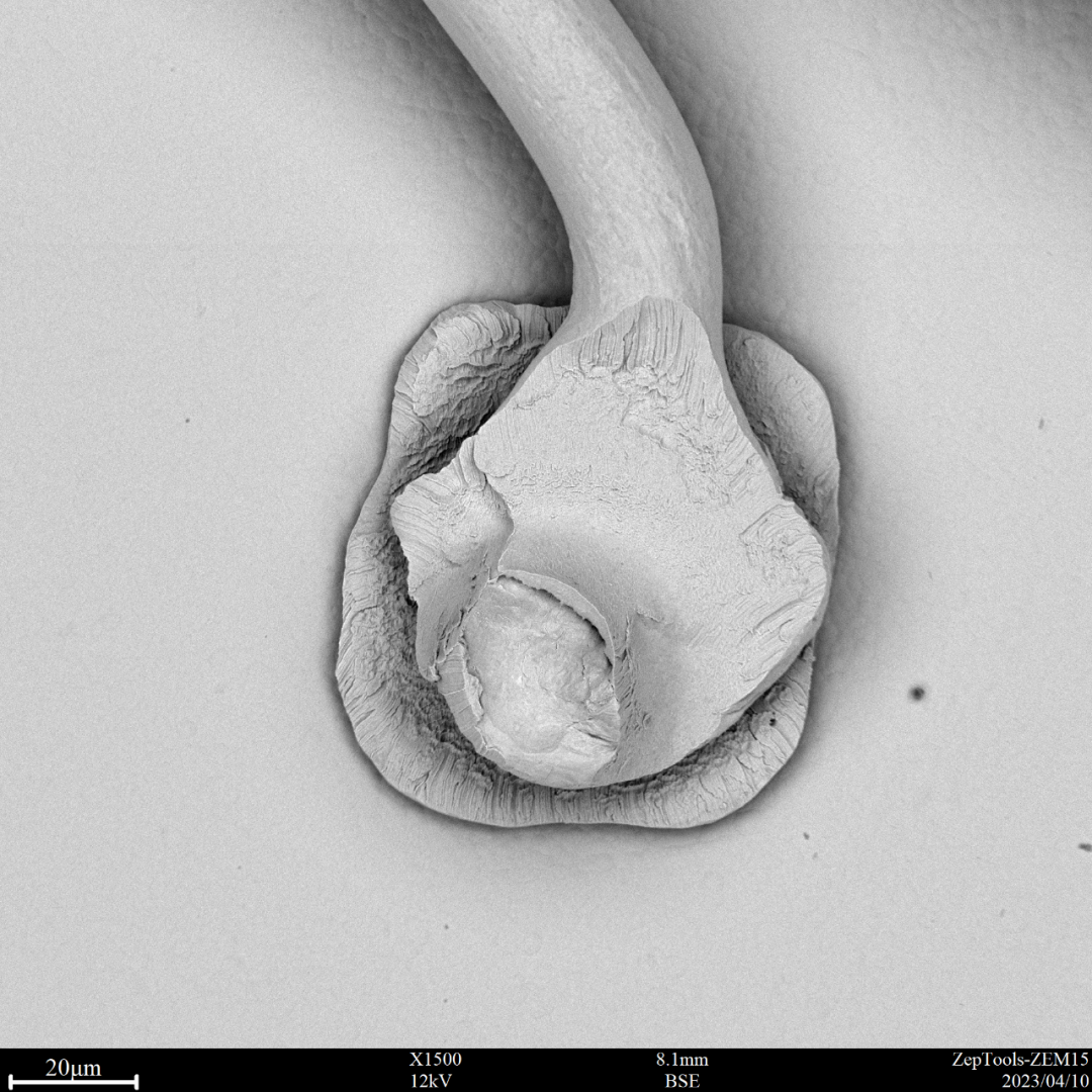 電子元器件焊點(diǎn)檢測