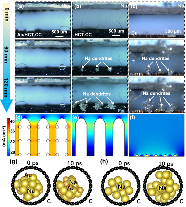 原位光學(xué)和模擬計算