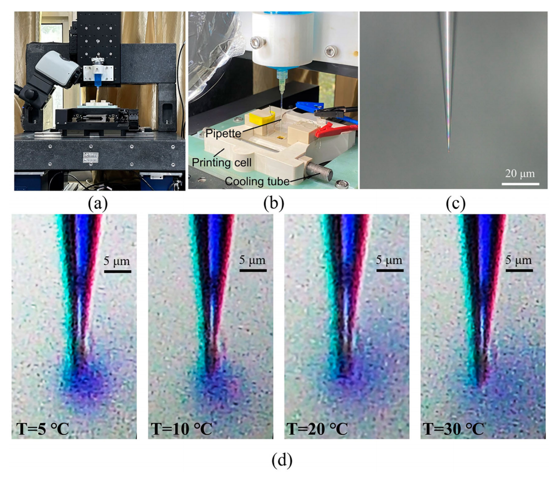 電沉積電解液在支撐電解液中的微觀擴(kuò)散過(guò)程 電沉積電解液在支撐電解液中的微觀擴(kuò)散過(guò)程