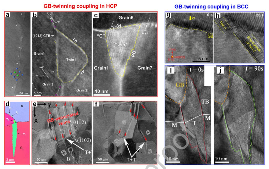 晶界變形與孿晶在其他金屬系統(tǒng)中的耦合 晶界變形與孿晶在其他金屬系統(tǒng)中的耦合