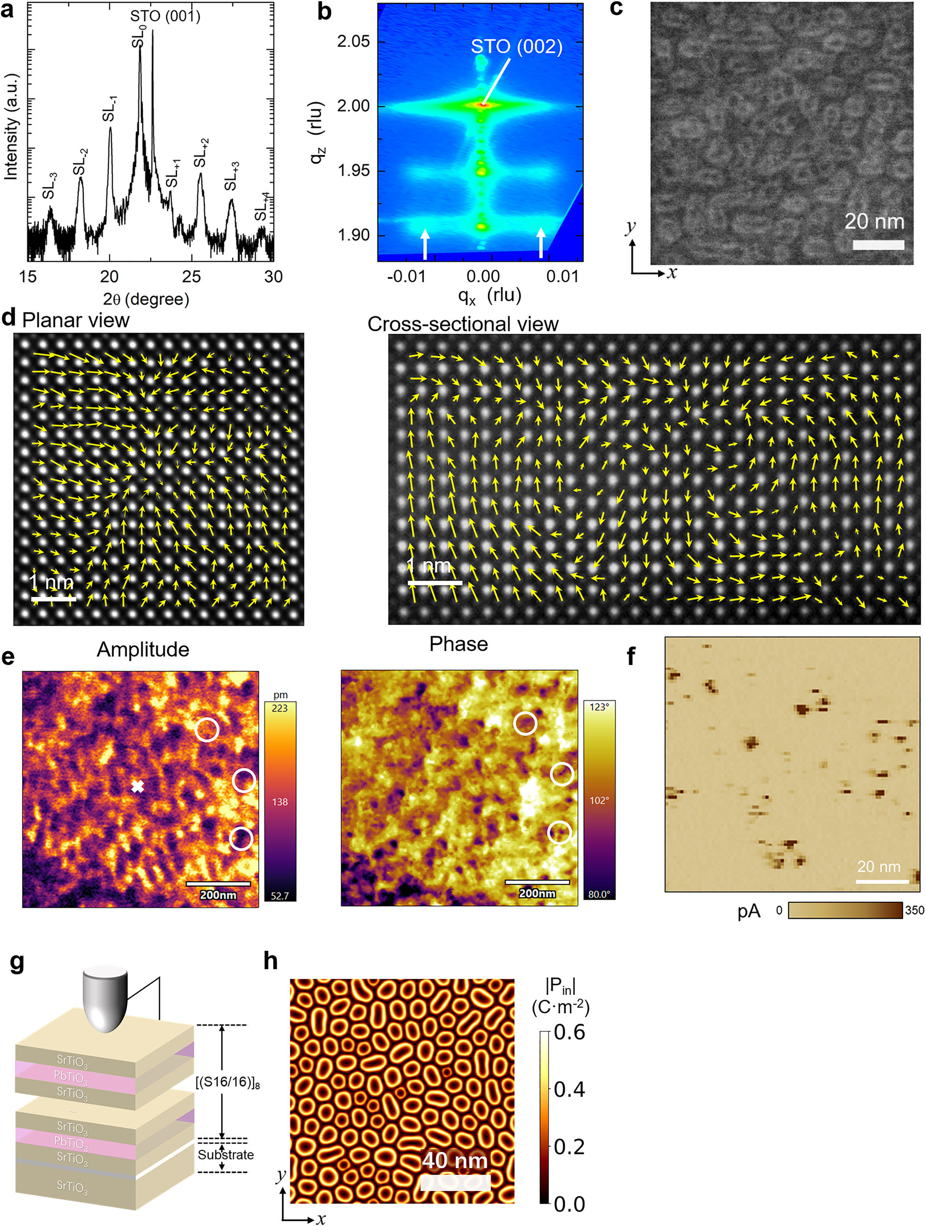 原位電子顯微鏡 原位電子顯微鏡