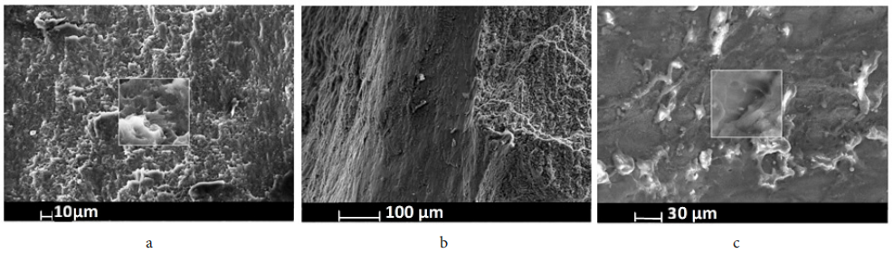 澤攸科技ZEM系列掃描電鏡 澤攸科技ZEM系列掃描電鏡